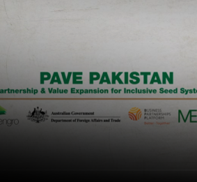 Project PAVE - Creating shared value in the agri-value chain in Pakistan