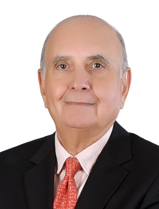 Sultan Mohammad Parvez Ghias - , Independent Director